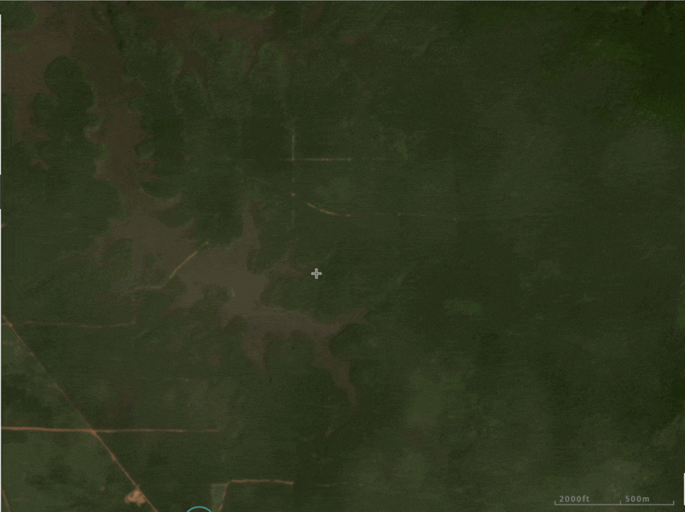 Satellite imagery shows forest clearing between early 2021 and April 2023 in Medco’s concession. 