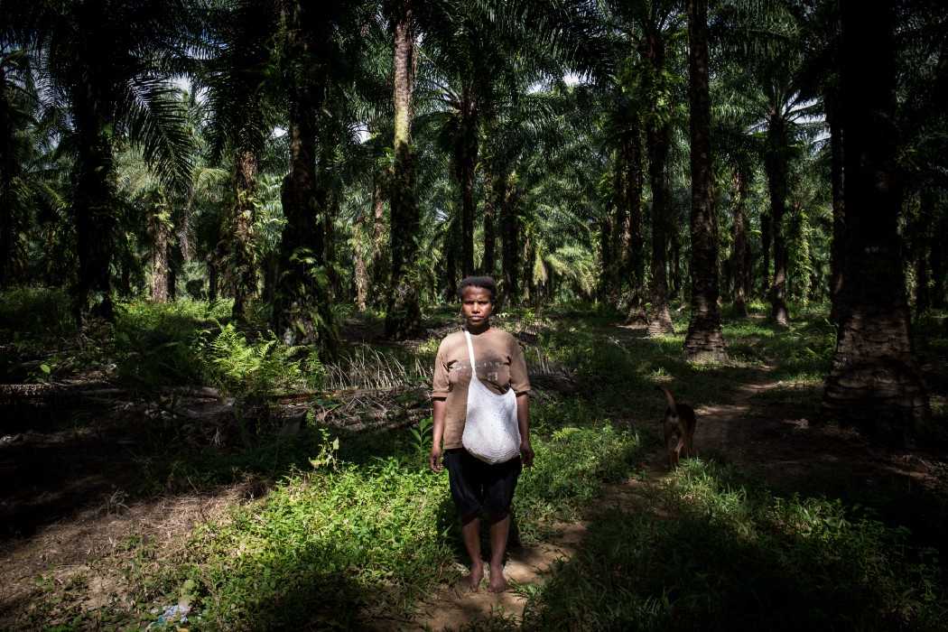 Yulita Waron di Kampung Naga, sebuah area pemukiman di dalam salah satu perkebunan milik Korindo Group di Papua.