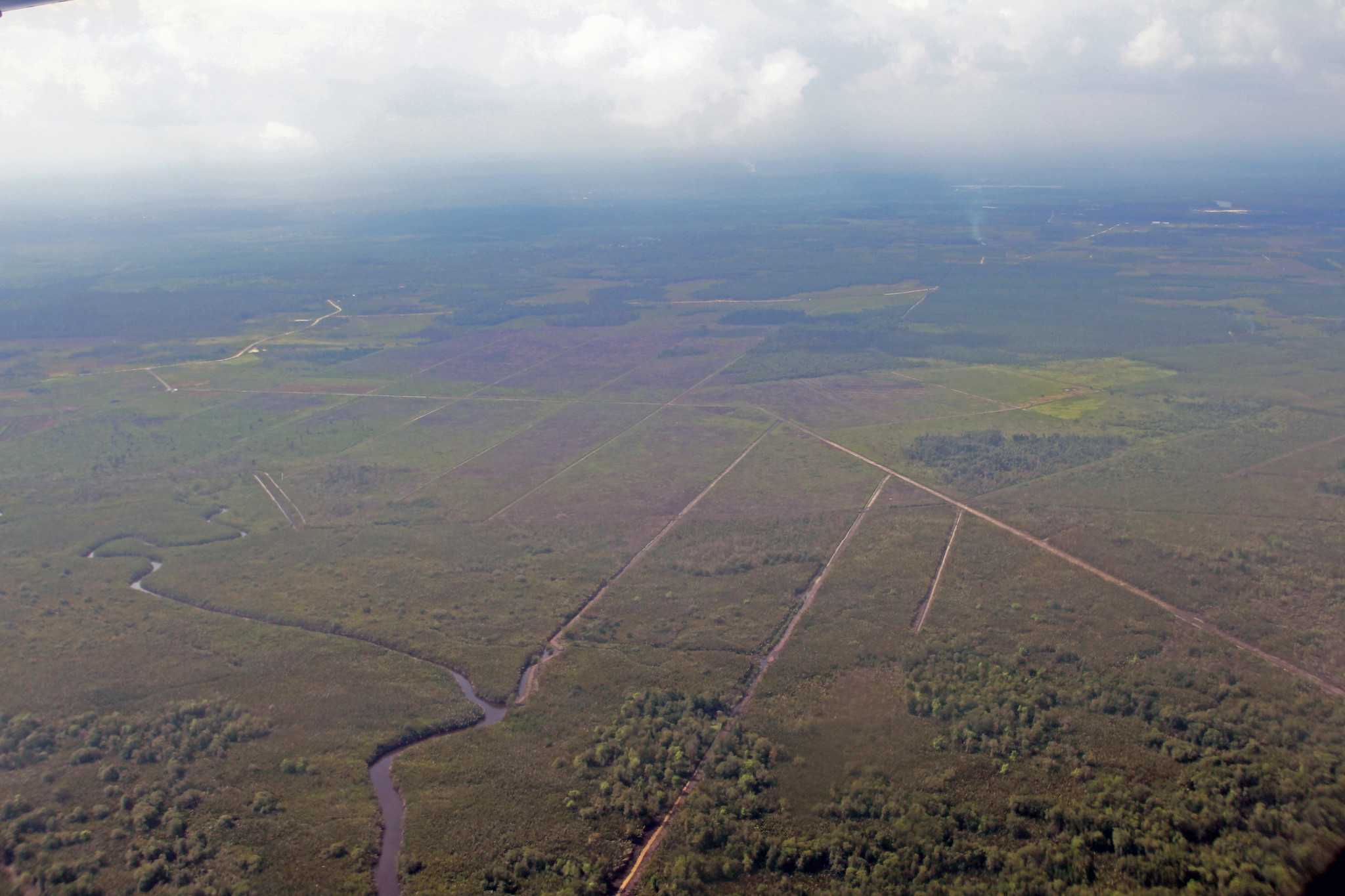 Kanal drainase di lahan gambut, Kalimantan Tengah. 