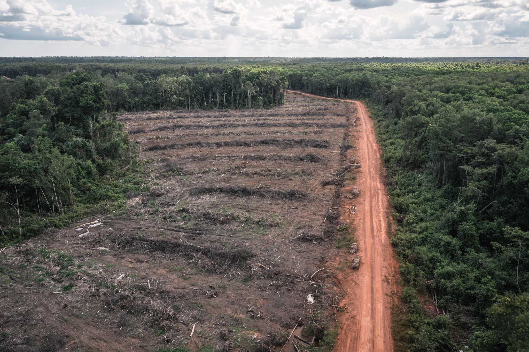 Aerial photo of an area of land that has been cleared of trees in Zanegi, Merauke district. 