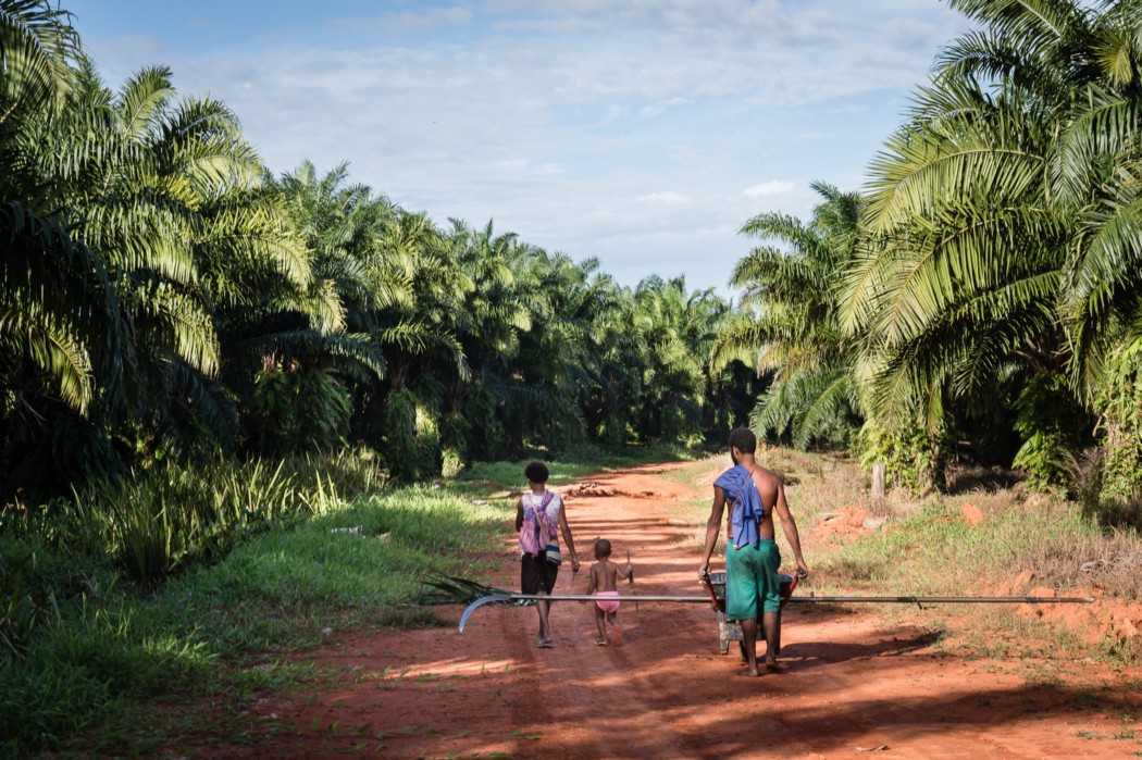 Jeklina, 24, works with her husband in an oil palm plantation in Boven Digoel. 