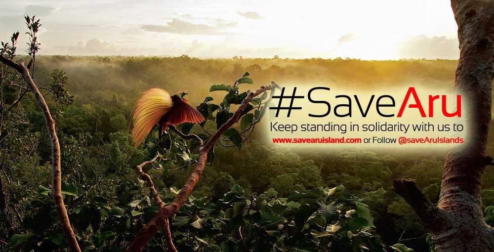 Graphic produced by the Save Aru campaign