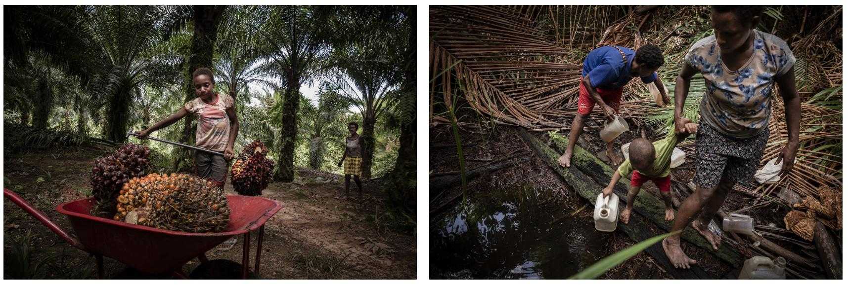 Left: Samela, 10 years old, never attended school and works in an oil palm plantation with her grandmother in Boven Digoel. Right: Women and children fetch water for drinking and cooking in the sago groves.