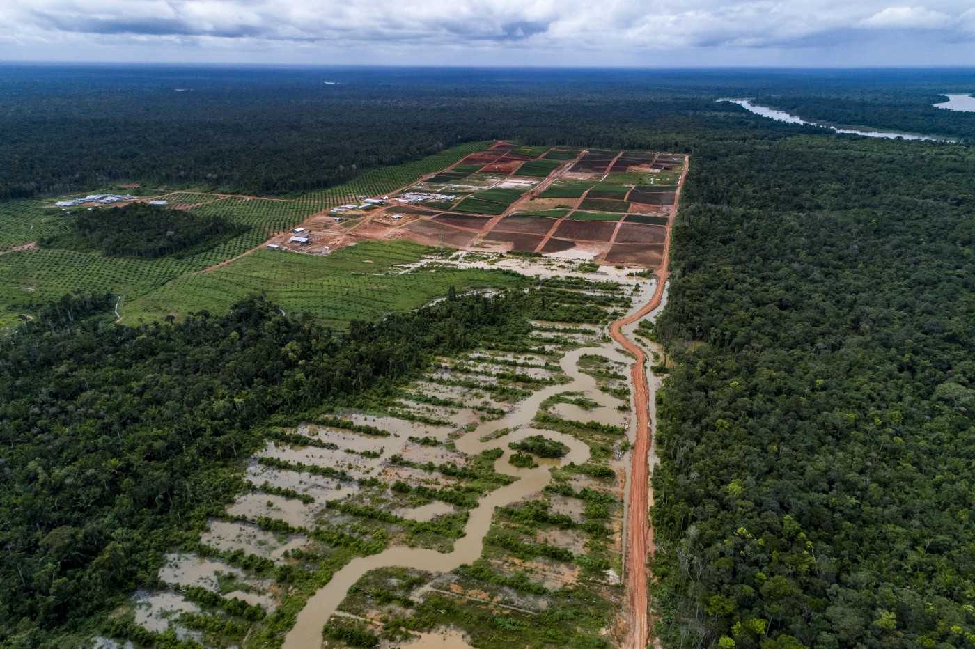 Land planted with oil palms by PT Megakarya Jaya Raya