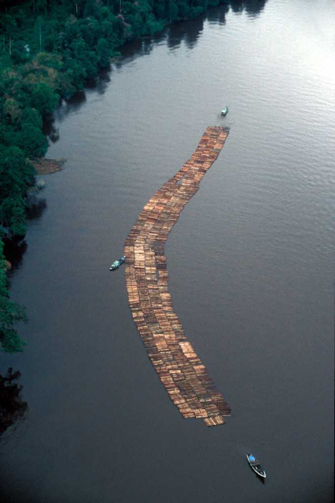 Sungai Sekonyer, 2001. Foto: EIAImages