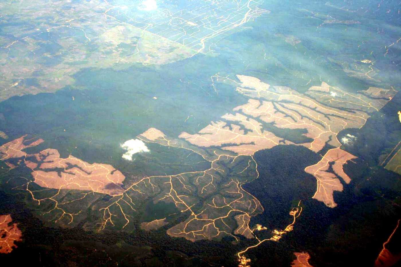 Deforestation for a pulpwood plantation in Riau, site of a series of plantation-related busts by the KPK, in 2006.