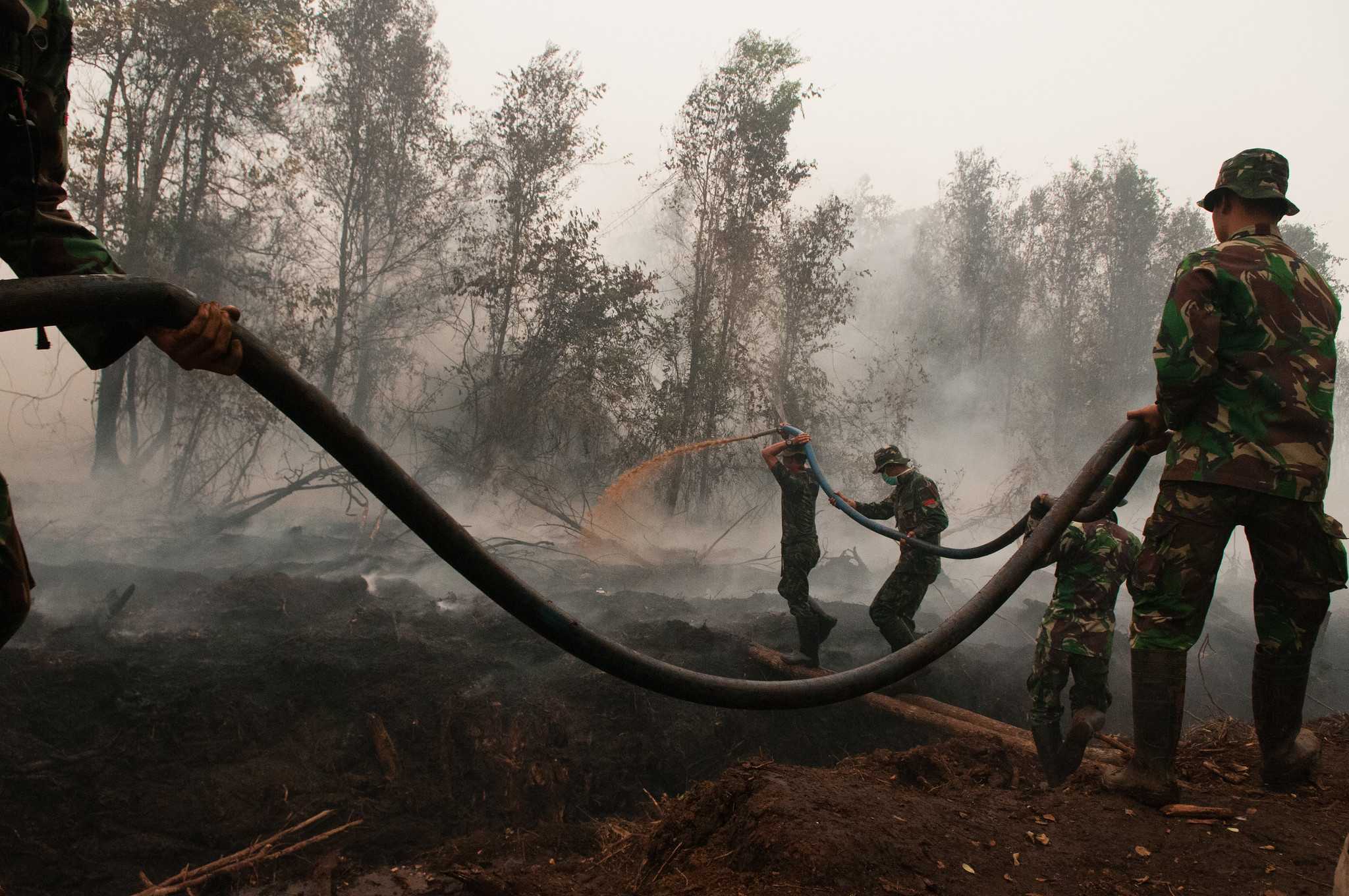 Army officers try to extinguish fires in peatland areas outside the city of Palangka Raya in Central Kalimantan province.