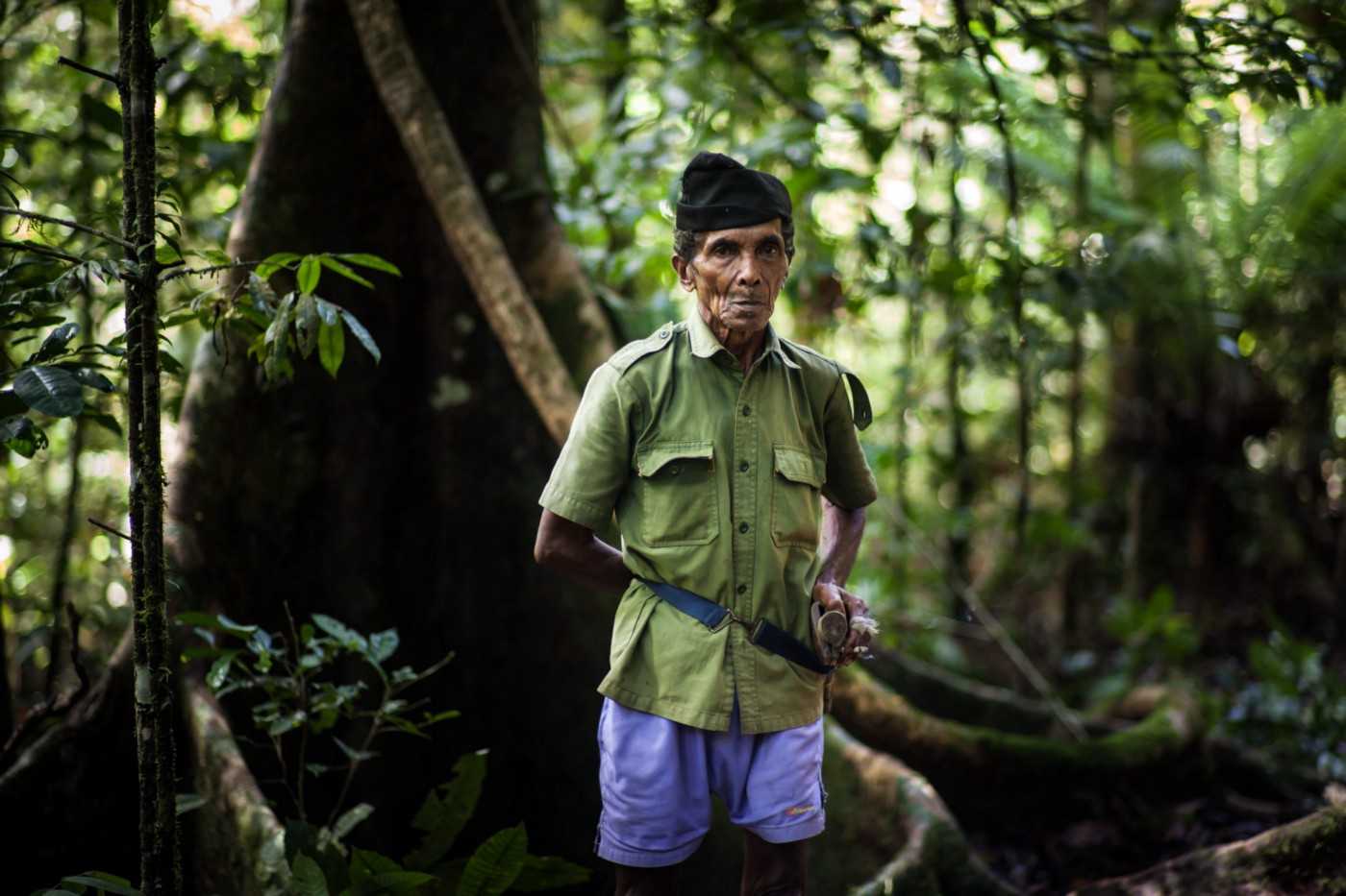 Josephus Ganobal, ayah dari Mika, tengah berada di hutan dekat rumahnya di Lorang. Foto oleh Leo Plunkett/The Gecko Project/Earthsight.
