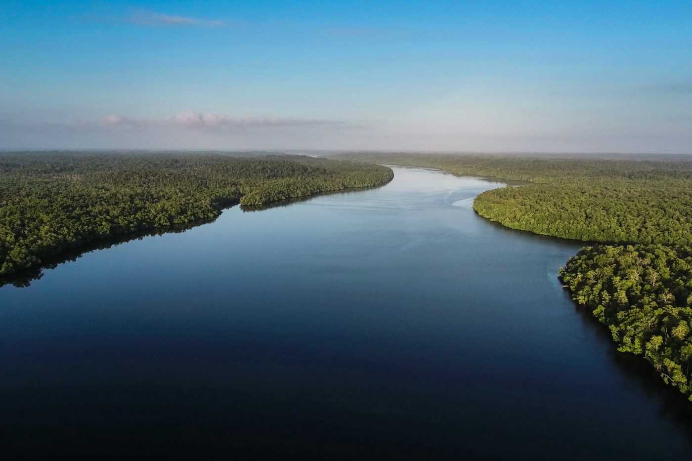 Tanpa hutan mangrove, — sebagian besar masuk ke dalam kawasan konsesi milik Menara Group — maka kawasan pesisir maupun pantai Aru akan sirnah. Foto oleh Forest Watch Indonesia.