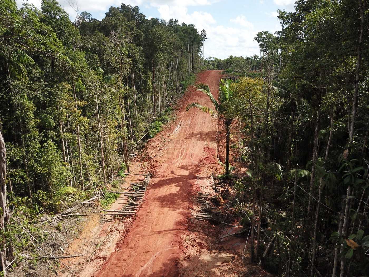 A road in Digoel Agri Group’s concession. Photo courtesy of Pusaka, January 2020.