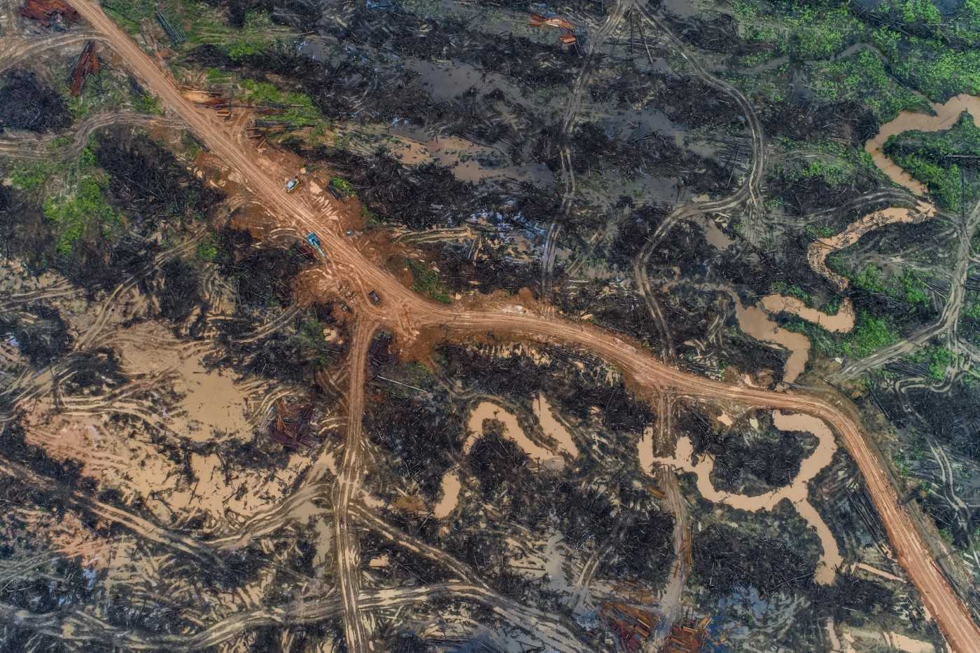 Aerial photo of deforestation in Boven Digoel, 2017. 