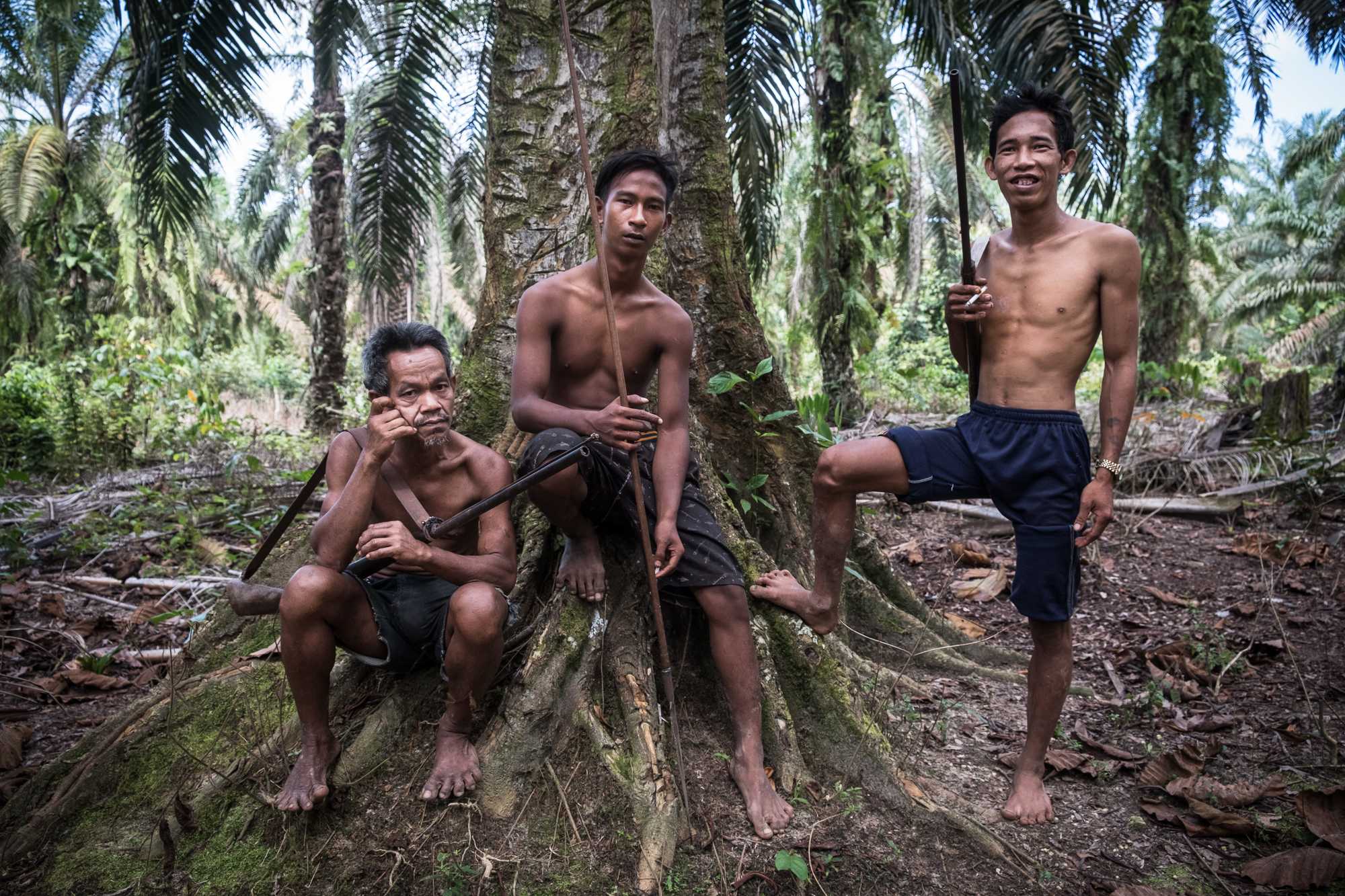 From left, Katap, Rendi, and Mat Yadi stand under a terap tree in an oil palm plantation. 